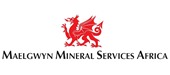 Maelgwyn Mineral Services Africa
