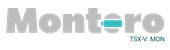Montero Mining & Exploration Limited