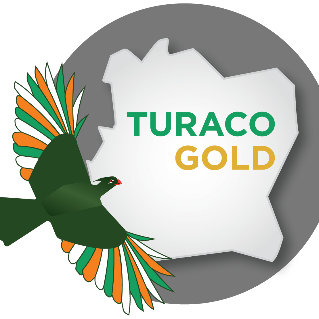 Turaco Gold Limited