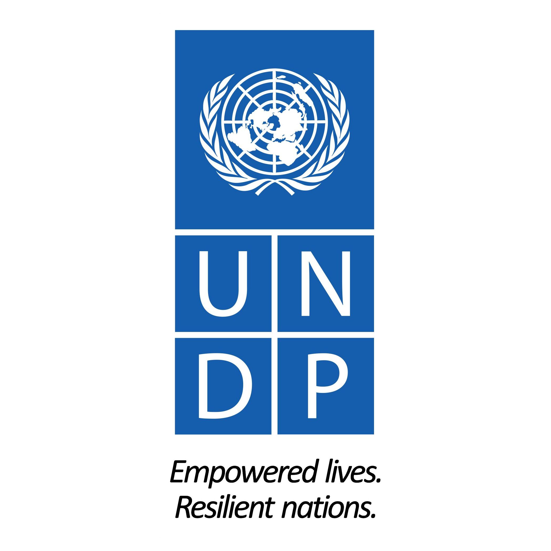 UNDP - UN Development Programme