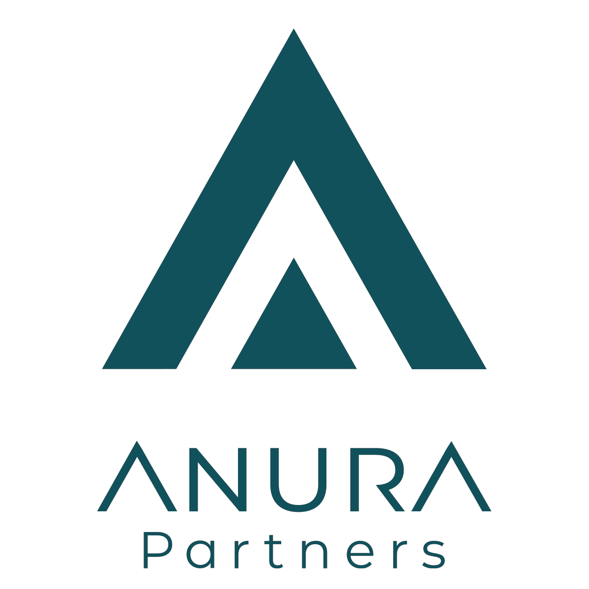 Anura Partners
