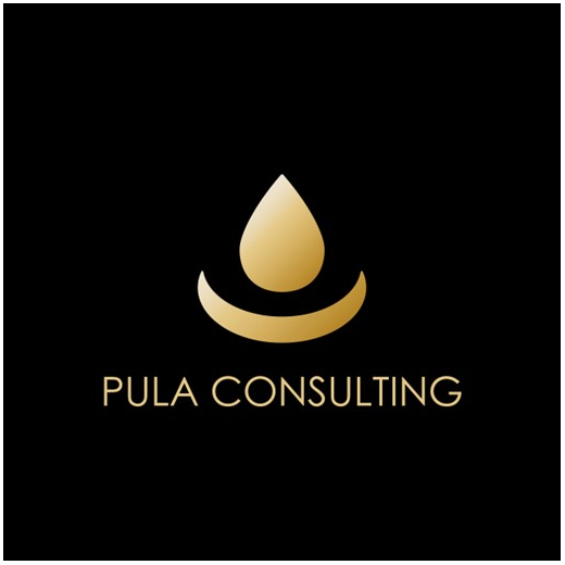 Pula Research and Consulting