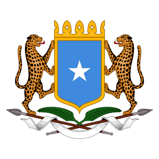 Somalia National Army