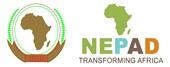 NEPAD Planning and Coordinating Agency (NEPAD Agency)