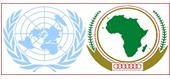 African Union-United Nations Operation in Darfur (UNAMID)